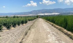 Pamukkale Belediyesi Kırsal Mahallelerde Arazi Yolu Açmaya Devam Ediyor