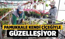 Pamukkale Kendi Çiçeğiyle Güzelleşiyor
