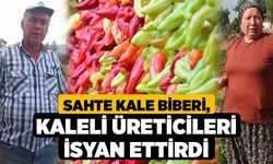 Sahte Kale Biberi, Kaleli Üreticileri İsyan Ettirdi