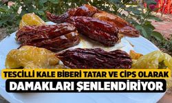 Tescilli Kale Biberi tatar ve cips olarak damakları şenlendiriyor