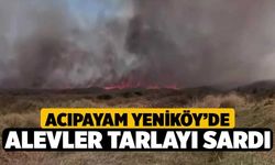 Acıpayam Yeniköy’de Alevler Tarlayı Sardı