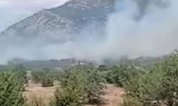 Acıpayam’daki orman yangını kontrol altına alındı