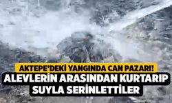 Aktepe’deki Yangında Can Pazarı! Alevlerin Arasından Kurtarıp Suyla Serinlettiler