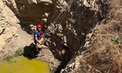 Çukura düşen küçükbaş hayvanı itfaiye kurtardı