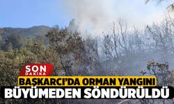 Başkarcı Dağı Orman Yangını: Orman Ve İtfaiye Ekipleri Alevleri Büyümeden Söndürdü!