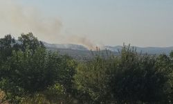 Denizli Çal Akkent Mahallesi’nde Otluk Alan Yangını