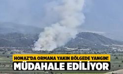 Denizli Kaklık Ve Kocabaş Arasında Arazi Yangını: Orman Ve İtfaiye Ekipleri Alarmda!