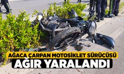 Denizli'de Motosiklet Refüjdeki Ağaca Çarptı: 1 Ağır Yaralı
