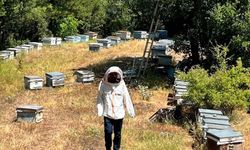 Denizli’de Arıcılara Güçlü Destek! Saha Ekipleri Kovan Tespiti Ve Kontrollerini Sürdürüyor