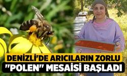 Denizli'de Arıcıların Zorlu "Polen" Mesaisi Başladı