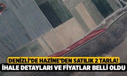 Denizli’de Hazine’den Satılık 2 Tarla! İhale Detayları ve Fiyatlar Belli Oldu