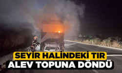 Denizli'de Seyir Halindeki Tırda Yangın