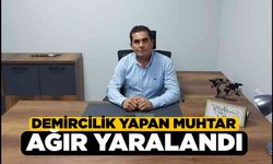 Buldan’da Muhtar İş Kazasında Ağır Yaralandı