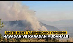 Dünyaca ünlü travertenlerin yakınındaki ormanlık alanda yangın