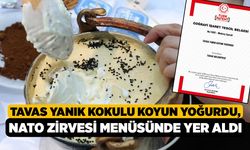 Tavas Yanık Kokulu Koyun Yoğurdu, NATO zirvesi menüsünde yer aldı
