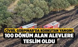 Çivril Gürpınar’da Korkutan Yangın! 100 Dönüm Alan Alevlere Teslim Oldu
