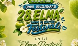Çivril’in 'En İyi Elması' Seçiliyor! Festival Öncesi Başvurular Başladı