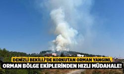 Denizli Bekilli’de Korkutan Orman Yangını, Orman Bölge Ekiplerinden Hızlı Müdahale!