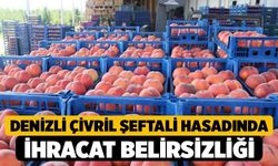 Denizli Çivril Şeftali Hasadında İhracat Belirsizliği