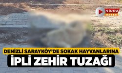 Denizli Sarayköy’de Sokak Hayvanlarına İpli Zehir Tuzağı