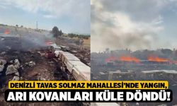 Denizli Tavas Solmaz Mahallesi’nde Yangın, Arı Kovanları Küle Döndü!