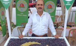 Denizli Üzüm Üreticisi Fiyat Bekliyor
