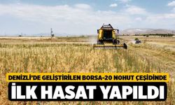 Denizli’de Geliştirilen Borsa-20 Nohut Çeşidinde İlk Hasat Yapıldı