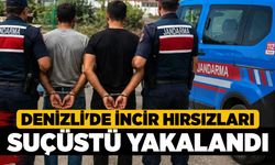 Denizli'de İncir Hırsızları Suçüstü Yakalandı
