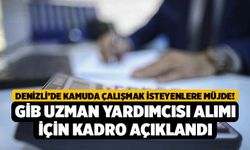 Denizli’de Kamuda Çalışmak İsteyenlere Müjde! GİB Uzman Yardımcısı Alımı İçin Kadro Açıklandı