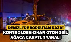 Denizli'de Korkutan Kaza! Kontrolden Çıkan Otomobil Ağaca Çarptı, 1 Yaralı