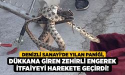 Denizli Sanayi'de Yılan Paniği, Dükkana Giren Zehirli Engerek İtfaiyeyi Harekete Geçirdi!