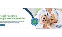 Evcil Hayvan Sigortası Teminat Limitleri Nasıl İşler?
