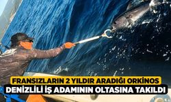Fransızların 2 Yıldır Aradığı Orkinos Denizlili İş Adamının Oltasına Takıldı!