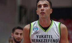 Marko Pecarski, Denizli Basket’te