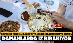 Tavas’ın Tescilli Lezzeti, Yanık Kokulu Koyun Yoğurdu Damaklarda İz Bırakıyor