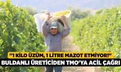 "1 Kilo Üzüm, 1 Litre Mazot Etmiyor!" Buldanlı Üreticiden TMO'ya Acil Çağrı