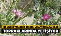180 Yıldır Yalnızca Denizli ve Afyonkarahisar Topraklarında Yetişiyor