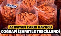 Acıpayam Çakır Havucu Coğrafi İşaretle Tescillendi