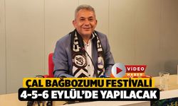 Çal Bağbozumu Festivali Üreticinin Feryadıyla Başlıyor: "Geçen Yıl 30 TL Olan Üzüm Bu Yıl 17 TL!"