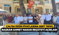 Çal’da Üzüm Fiyatlarına Sert Tepki, Başkan Ahmet Hakan Reçeteyi Açıkladı!