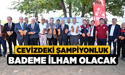 Cevizdeki Şampiyonluk Bademe İlham Olacak
