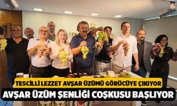 Tescilli Lezzet Görücüye Çıkıyor: Acıpayam'da 5. Avşar Üzüm Şenliği Coşkusu Başlıyor!