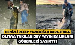 Denizli Recep Yazıcıoğlu Barajı'nda Oltaya Takılan Dev Yayın Balıkları Görenleri Şaşırttı