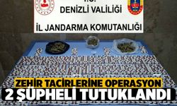 Pamukkale ve Serinhisar İlçelerinde Operasyon: 2 Tutuklama