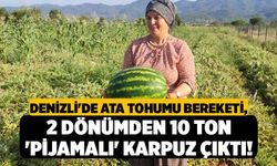 Denizli'de Ata Tohumu Bereketi, 2 Dönümden 10 Ton 'Pijamalı' Karpuz Çıktı!