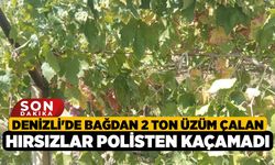 Denizli'de Bağdan 2 Ton Üzüm Çalan Hırsızlar Polisten Kaçamadı!