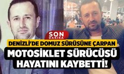 Denizli'de Domuz Sürüsüne Çarpan Motosiklet Sürücüsü Hayatını Kaybetti!