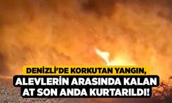 Denizli'de Korkutan Yangın, Alevlerin Arasında Kalan At Son Anda Kurtarıldı!