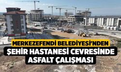 Merkezefendi Belediyesi'nden Şehir Hastanesi Çevesinde Asfalt Çalışması