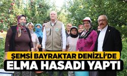 Şemsi Bayraktar Denizli'de Elma Hasadı Yaptı